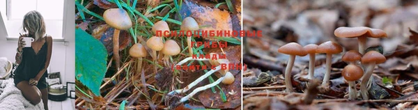 таблы Балахна